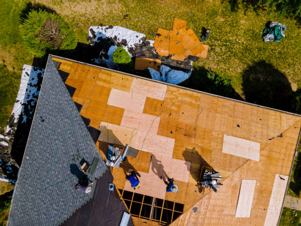 Roof Waterproofing Services in Urania, LA